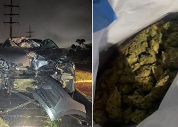 'Super maconha': PRF apreende 4 quilos de skunk após seguir rastro de sangue na BR-424, em Arcoverde