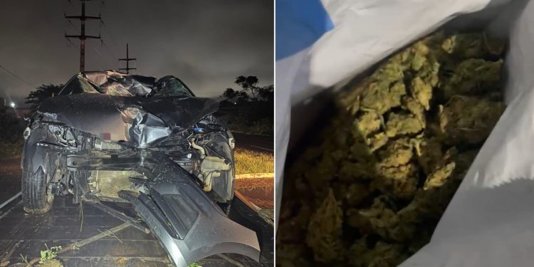 'Super maconha': PRF apreende 4 quilos de skunk após seguir rastro de sangue na BR-424, em Arcoverde